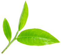 Çevresel Sürdürülebilirlik