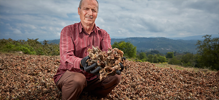 Ekonomik Sürdürülebilirlik